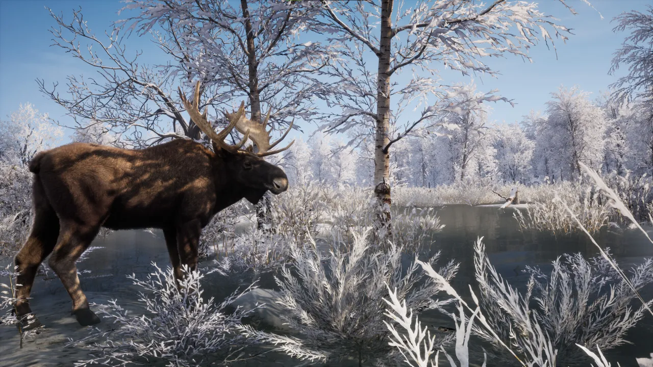 Hunting and surviving in beautiful open world