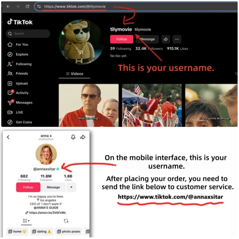 Real American TikTok fans with avatars and posts