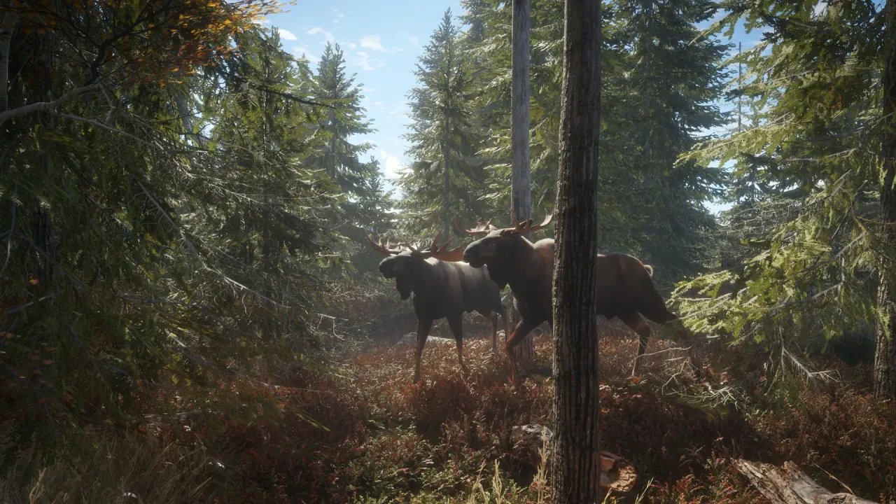 theHunter Call of the Wild Steam Key Global panoramic hunting grounds