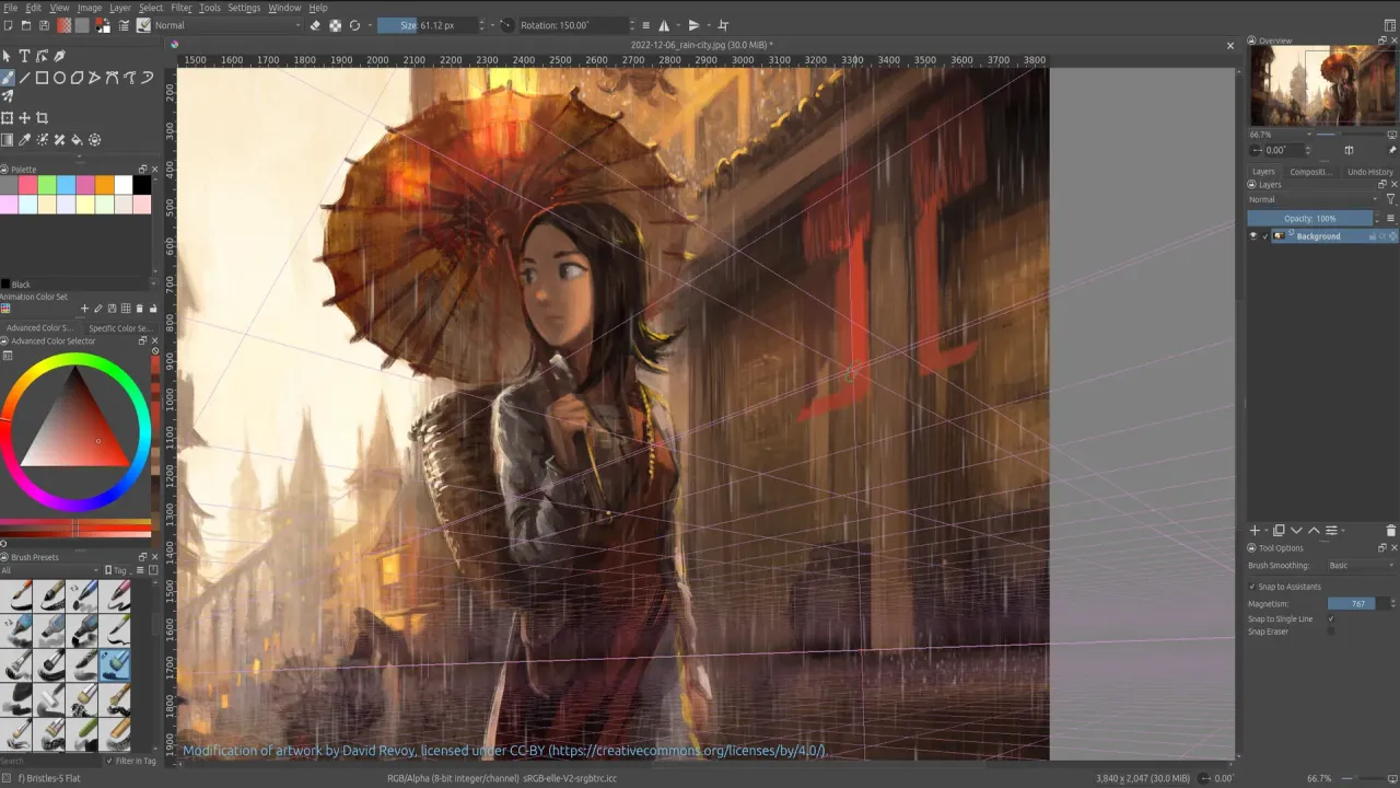 2D animation timeline and creative workflow tools