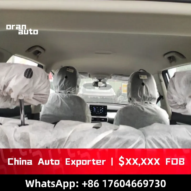 sporty Geely compact car rear view