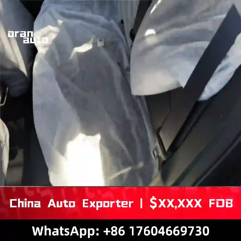 2026 Emgrand rear styling details