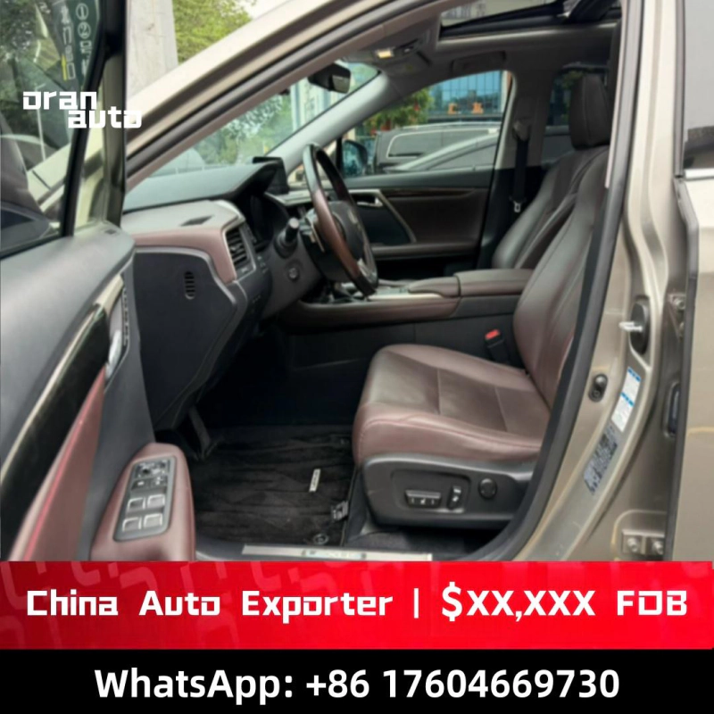Used 2020 Lexus RX 300 rear exterior luxury SUV design details